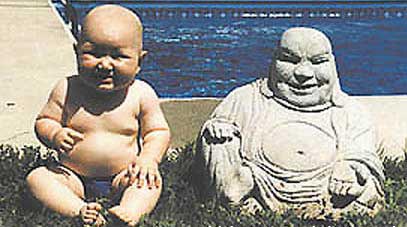 Budda Kid Compare
